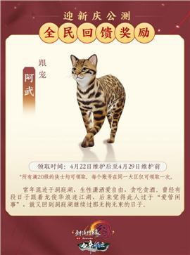 天龙八部外传私服网